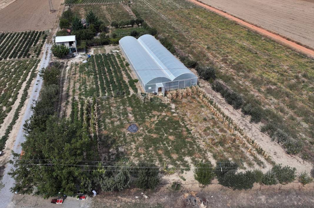 Özelliğini duyan Konya’daki bu bahçeye koşuyor 11